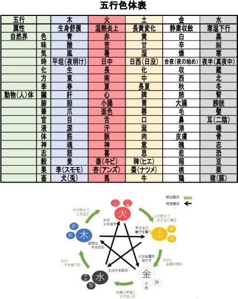 動物 五行